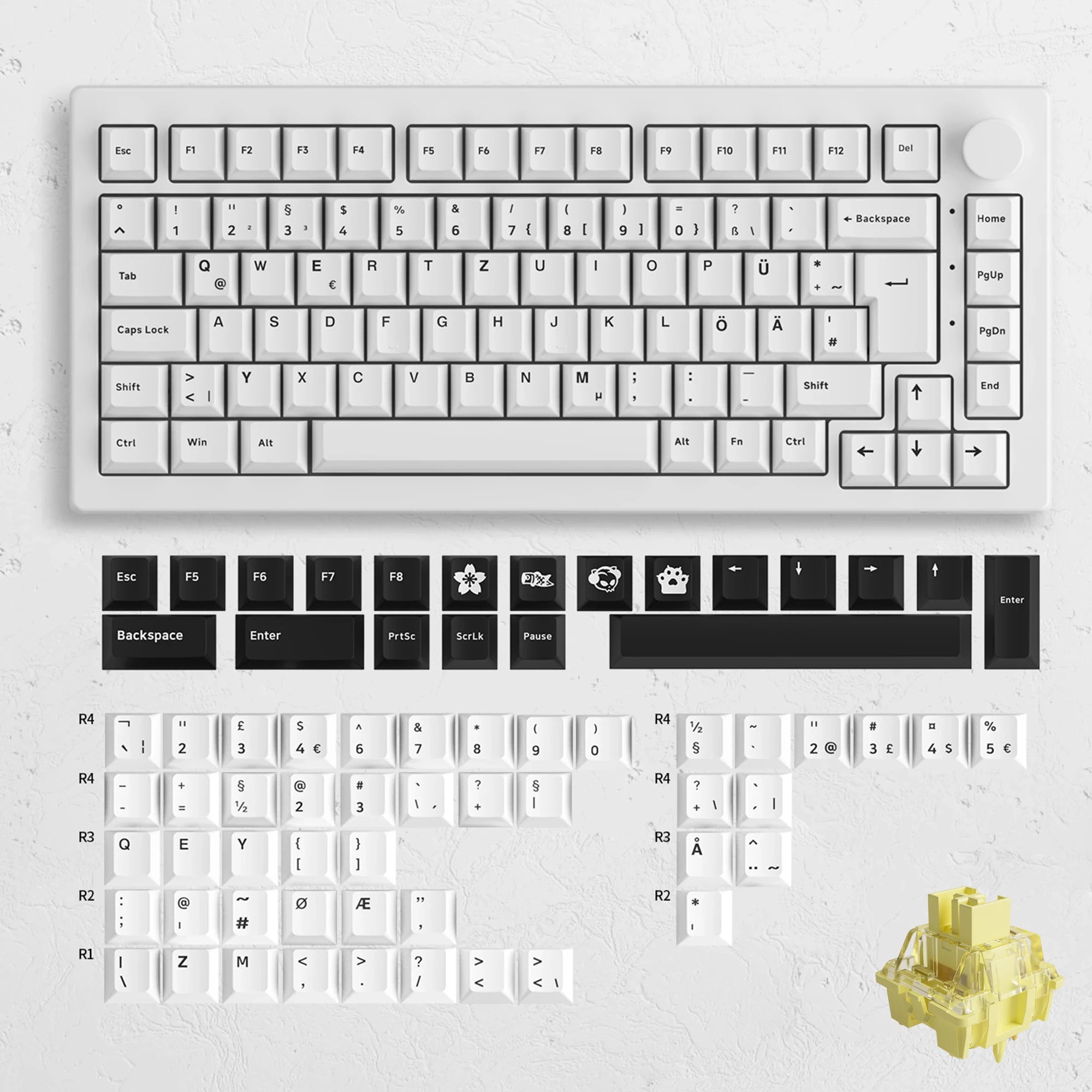 Akko 5075B Plus 75% Mechanical Gaming Keyboard ISO-UK Black On White Hot Swap Side LED RGB Multi-Modes 2.4GHz /USB Type-C/BT 5.0